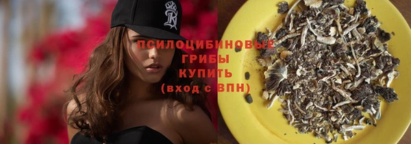 дживик Арсеньев