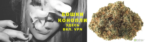 бошки Аркадак
