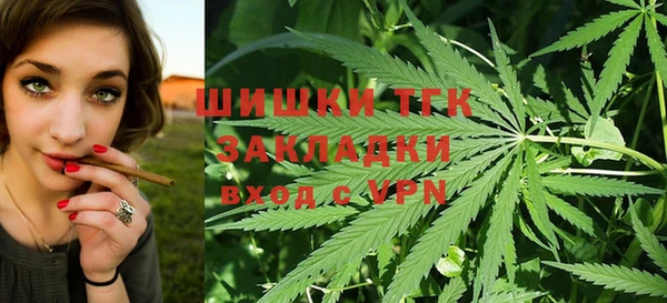 дживик Арсеньев