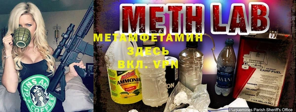 прущие грибы Балахна
