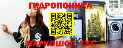 шишки Назарово
