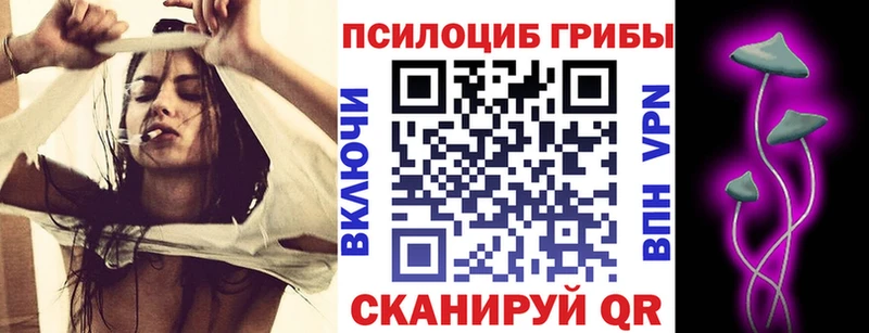 OMG   Волгоград  Галлюциногенные грибы MAGIC MUSHROOMS 