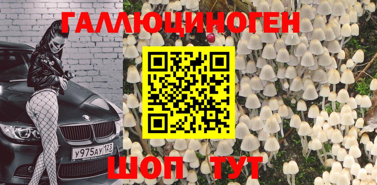 Галлюциногенные грибы Psilocybe Волгоград