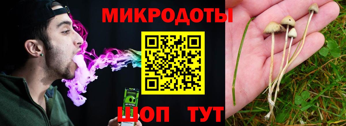 Псилоцибиновые грибы Magic Shrooms  Галлюциногенные грибы прущие грибы  Волгоград  Вход с VPN 